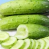 Cucumber Plants Live 2 Pack Green 4 Inch Pot Starter Plants for Garden
